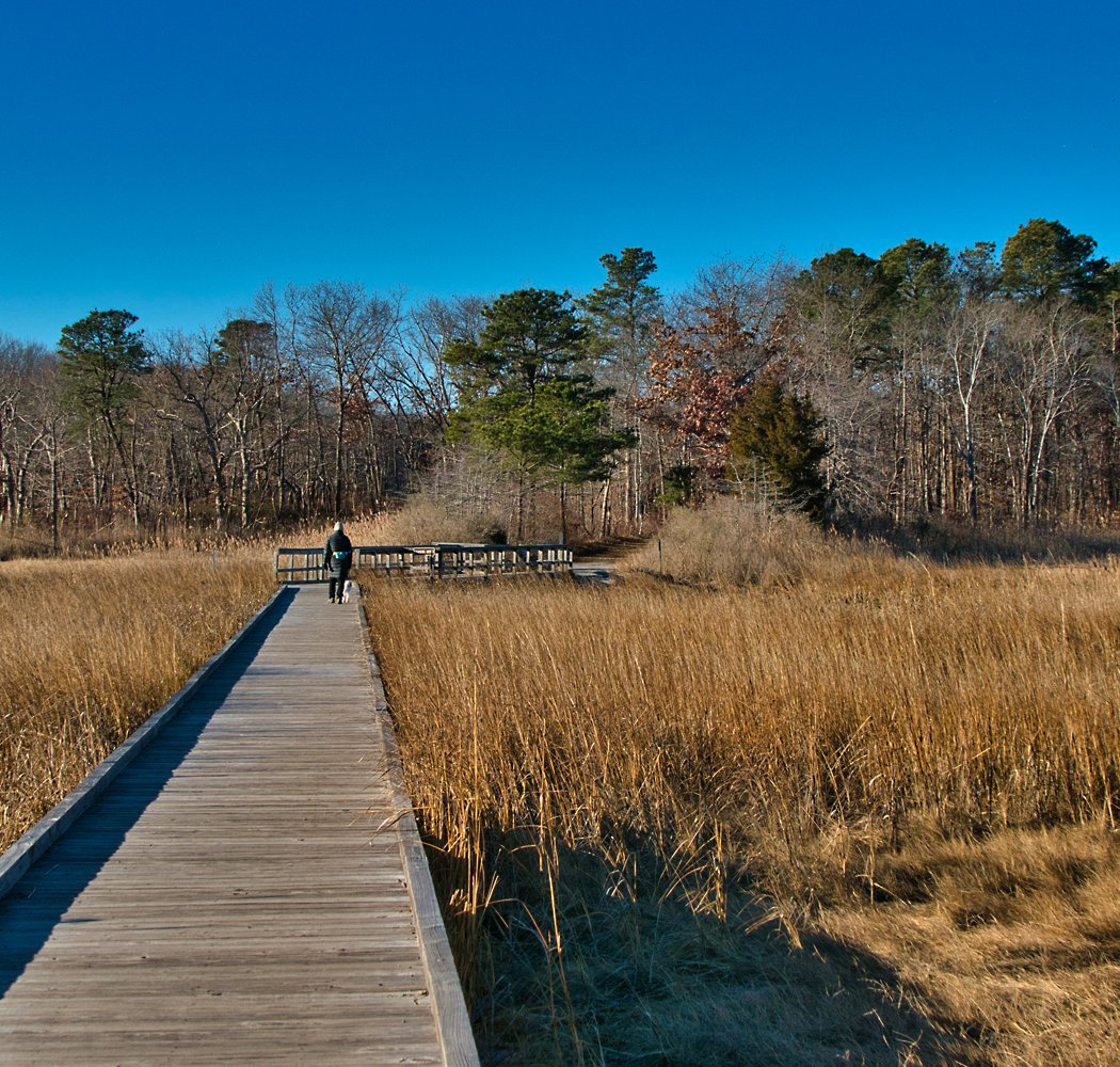 Cheesequake State Park 2