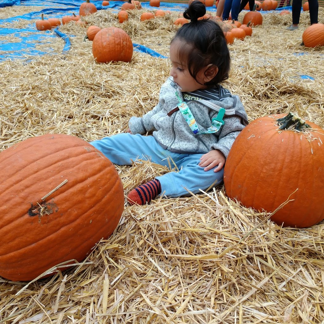 Taste of Sunnyside 1
