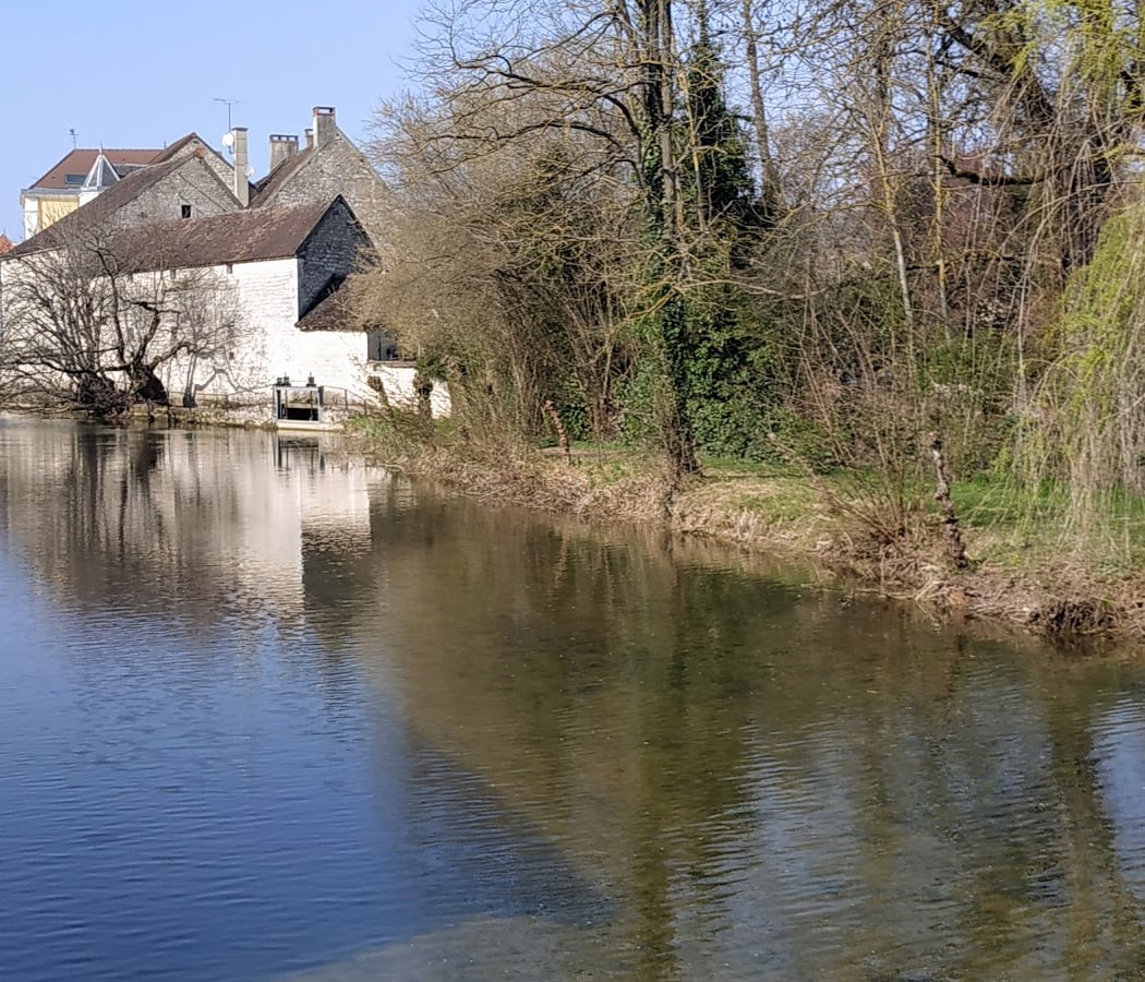 Chablis 3