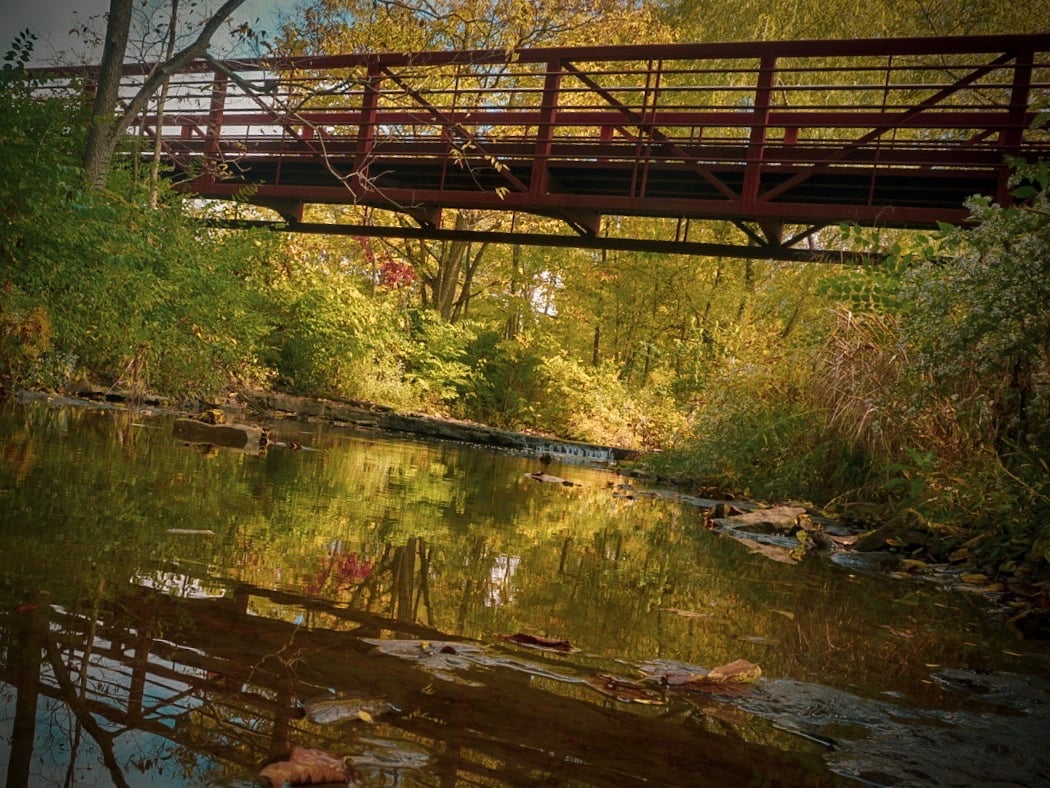 Ferris-Wright Park 1