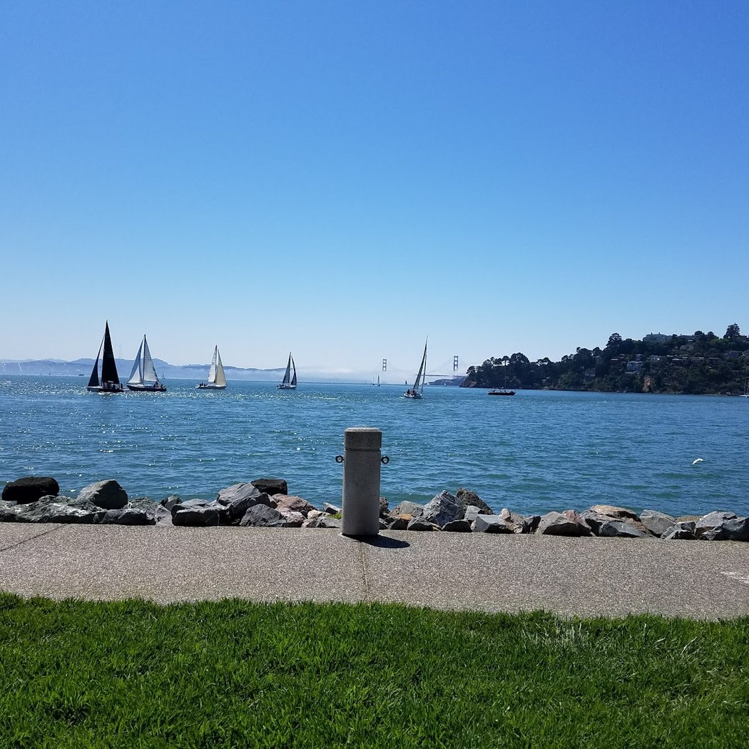 Sailing 4 Parkinsons Regatta 2