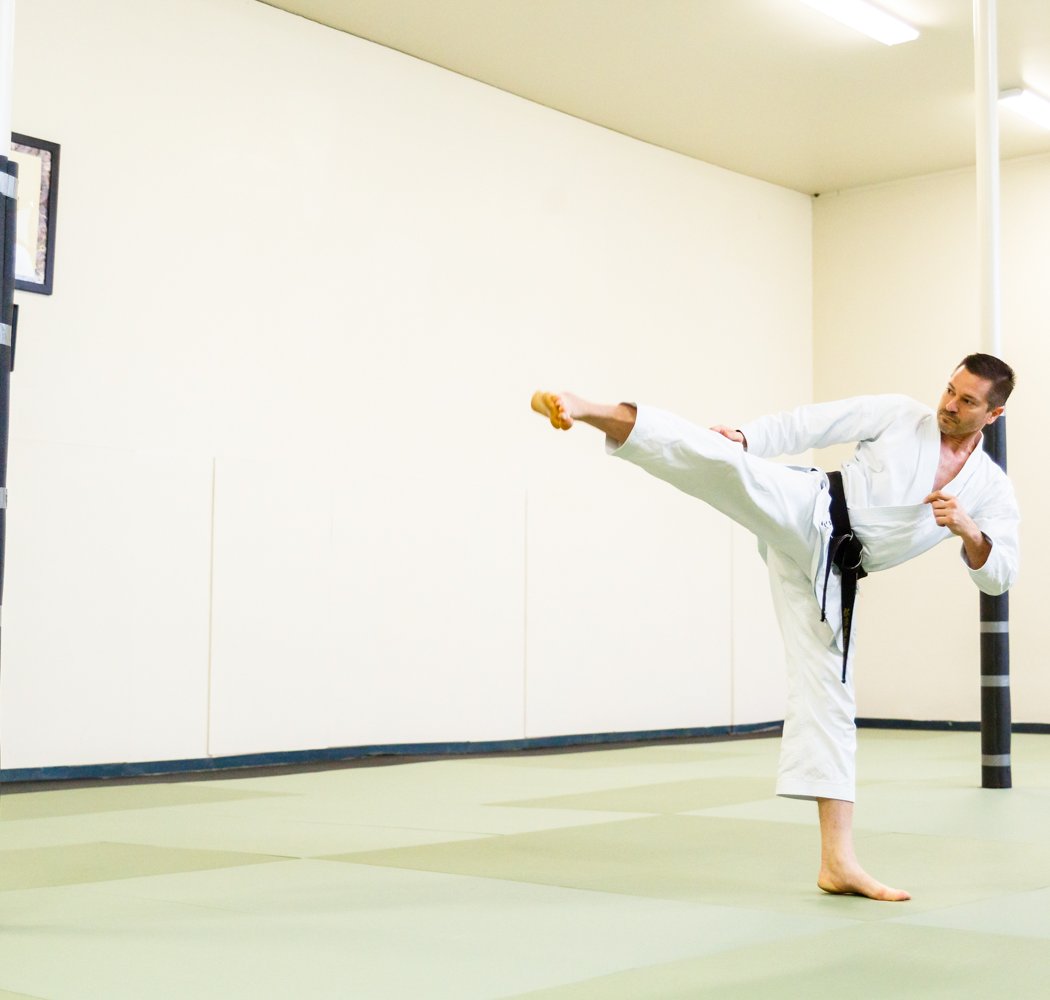 Silicon Valley Karate 3