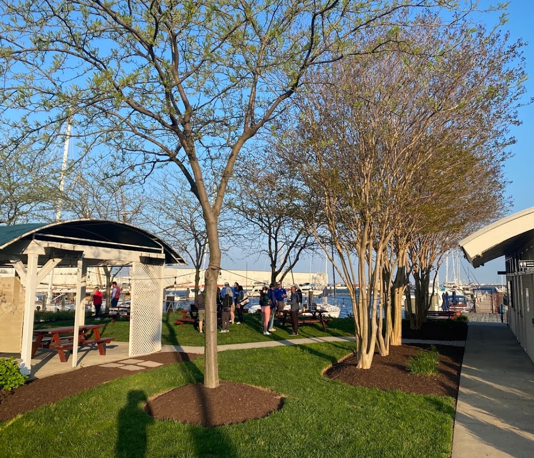 Port Covington Marina 3