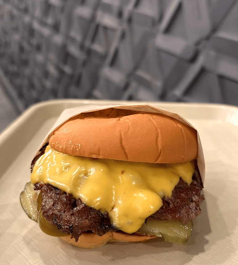 Hamburger Project 1