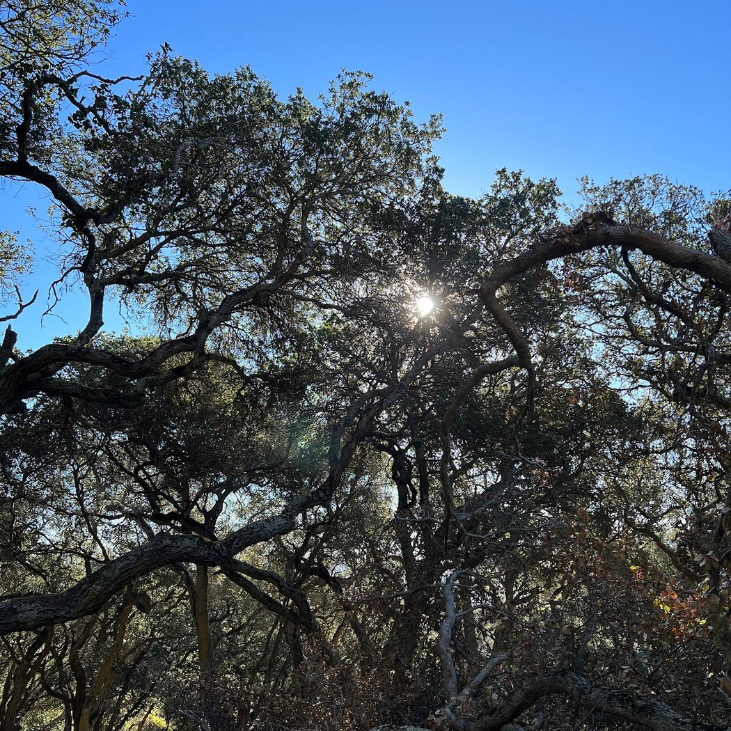 Sobrante Ridge Regional Preserve Coach Staging Area 2