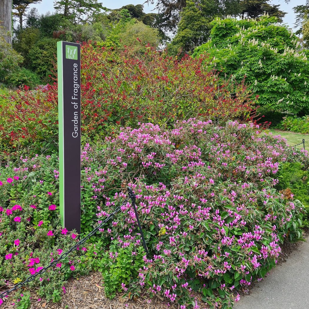 Garden of Fragrance 1