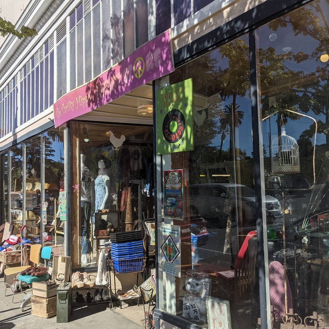 Thrifty Hippy Thrift Store 2