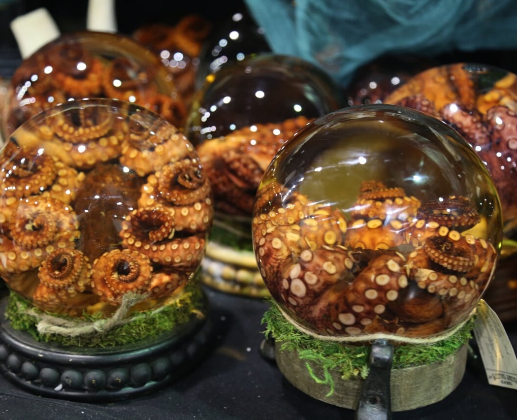 World Oddities Expo 3