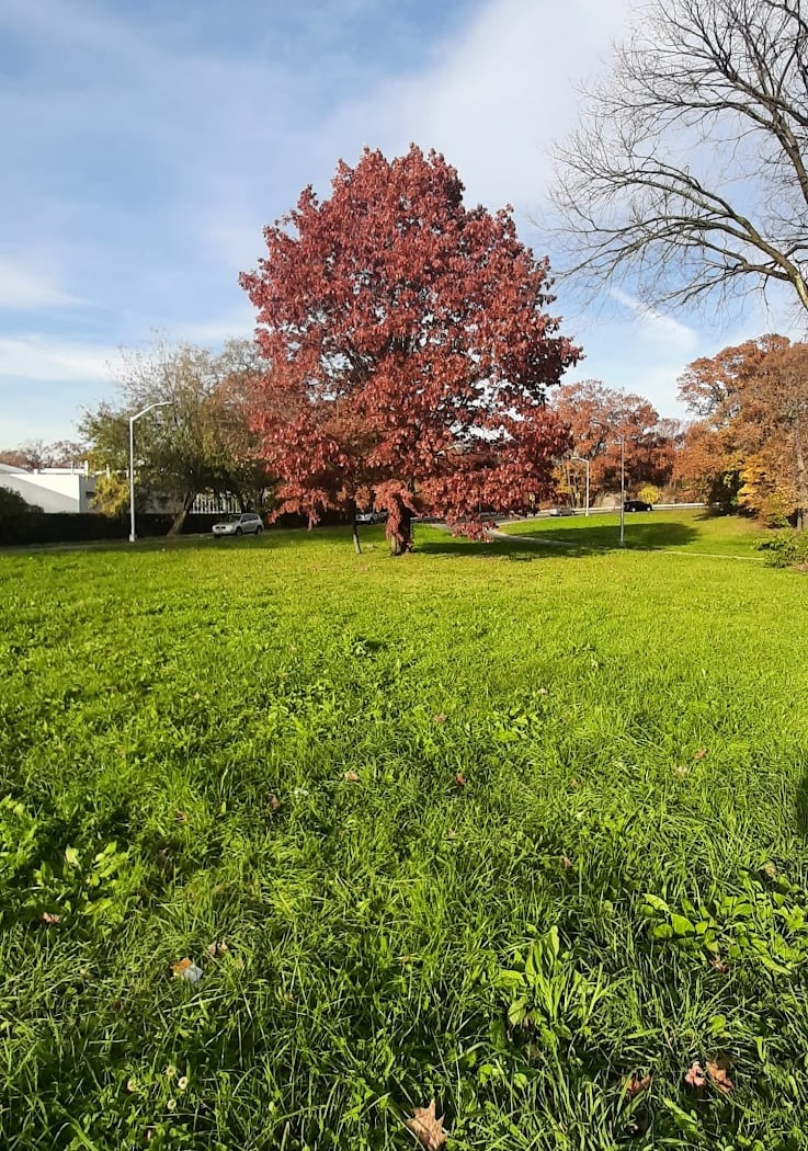 Bronx Pk E 2