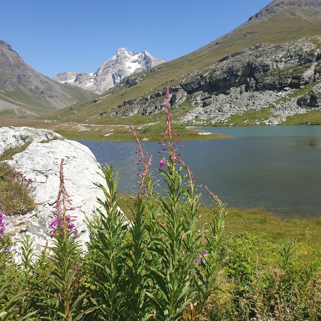 Lac de la Sassière 3