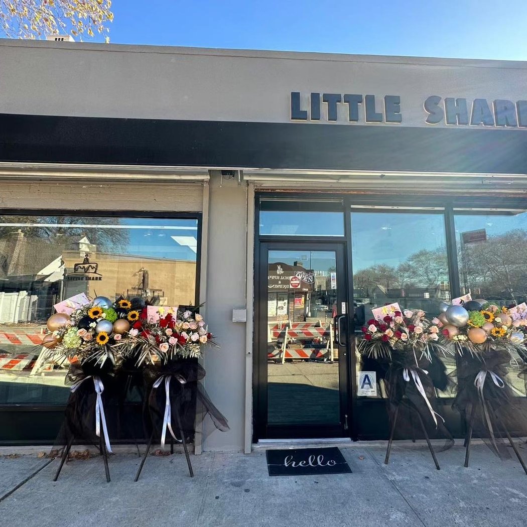 LITTLE SHARK 2