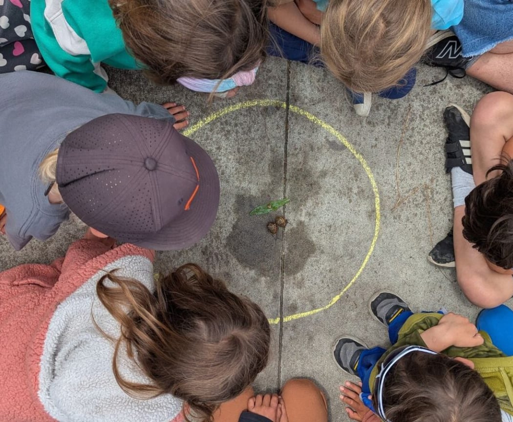 Incredible Invertebrates Summer Camp 1