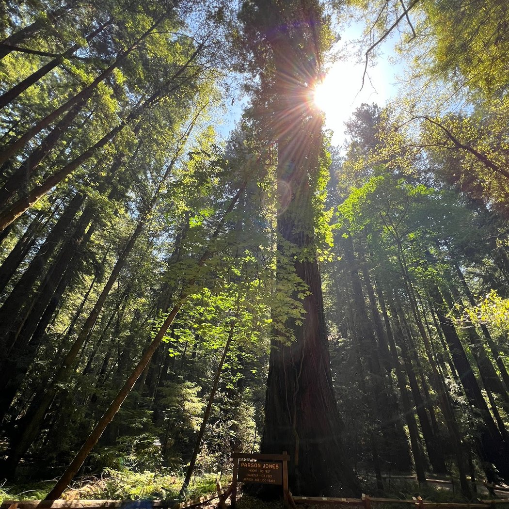 Pioneer Nature Trail 1