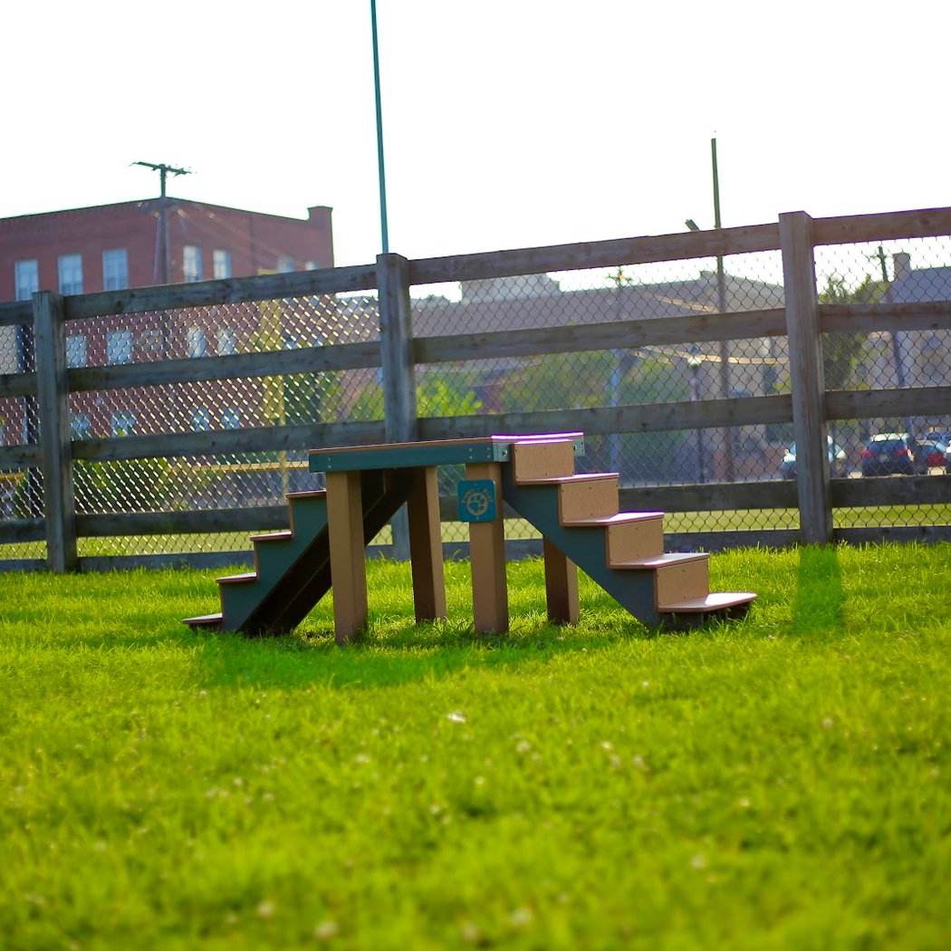 Civic Center Dog Park 1