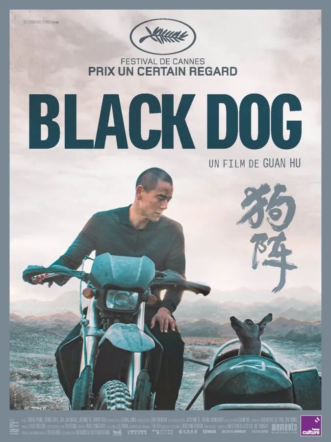 Black Dog 1