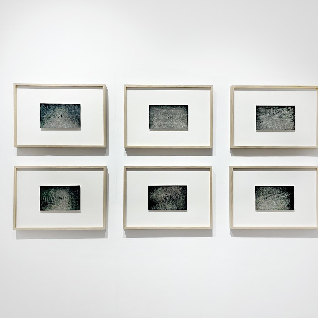 Exhibition by Gaël Darras 3
