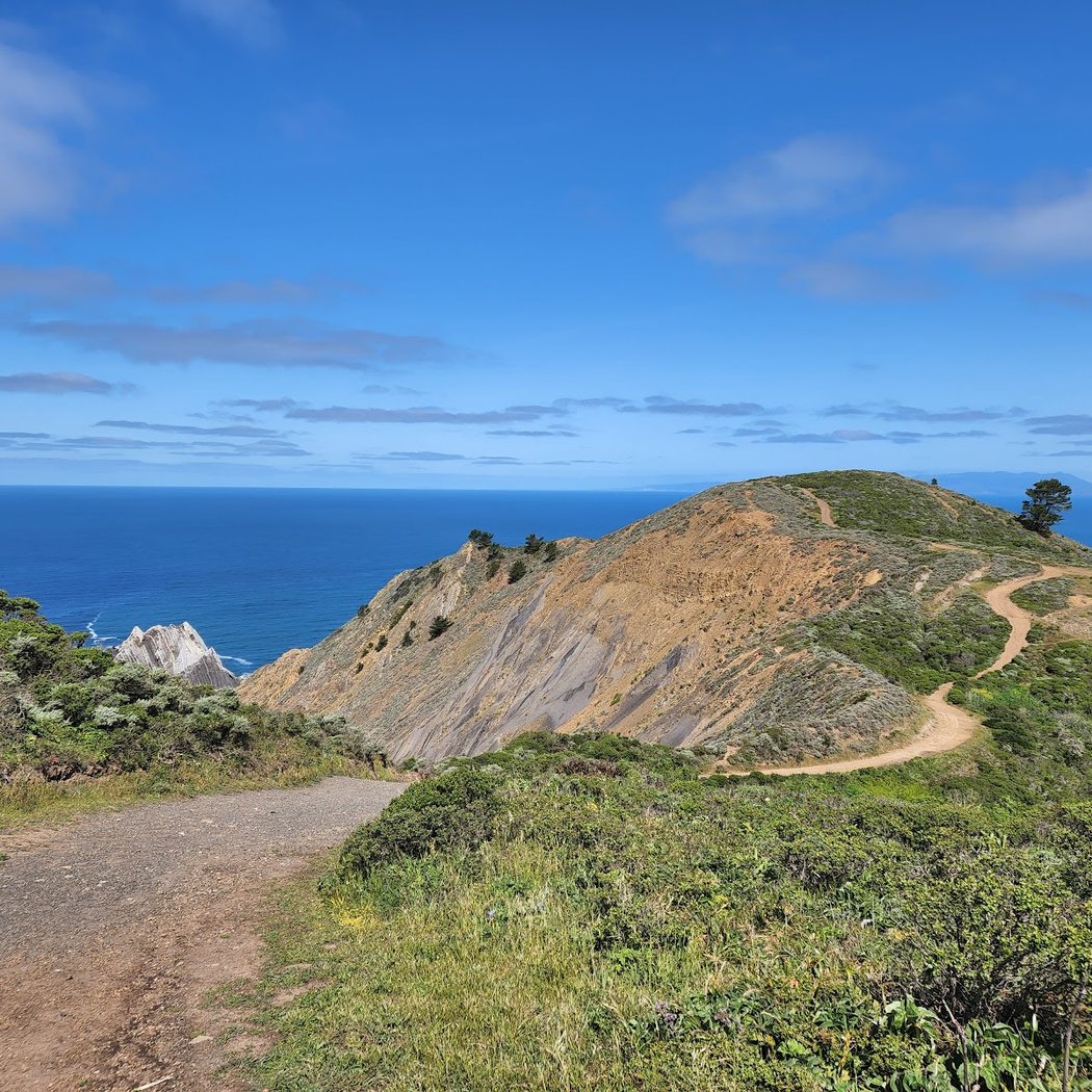 Pedro Point 1