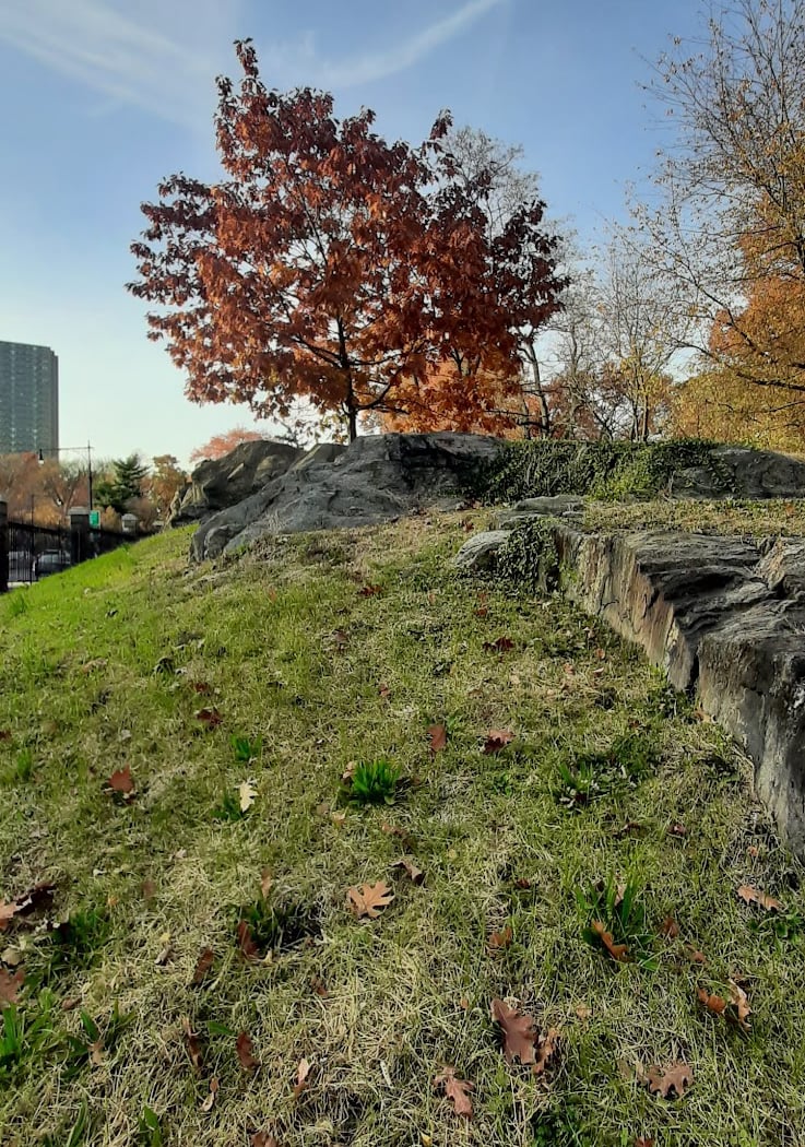 Bronx Pk E 3