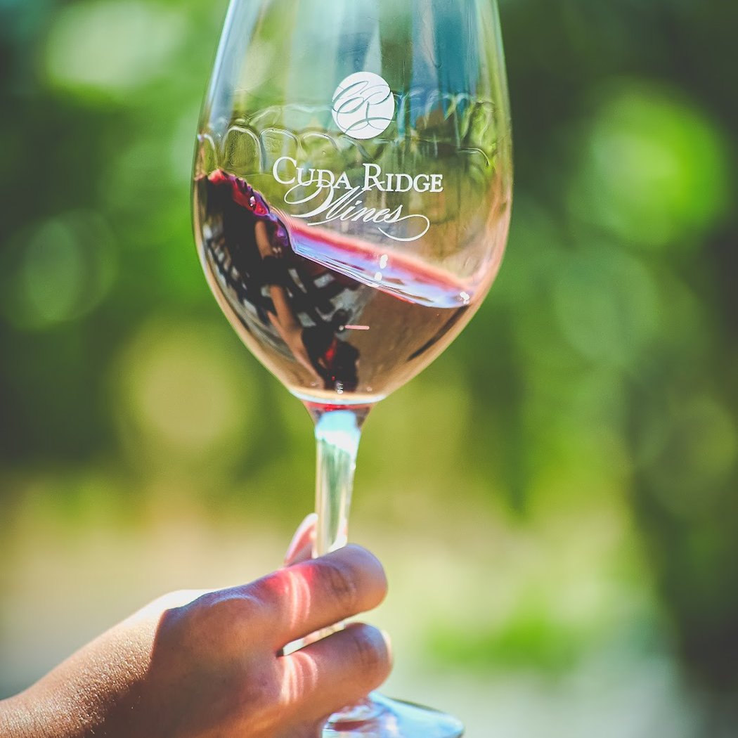 Open for Wine Tasting 1