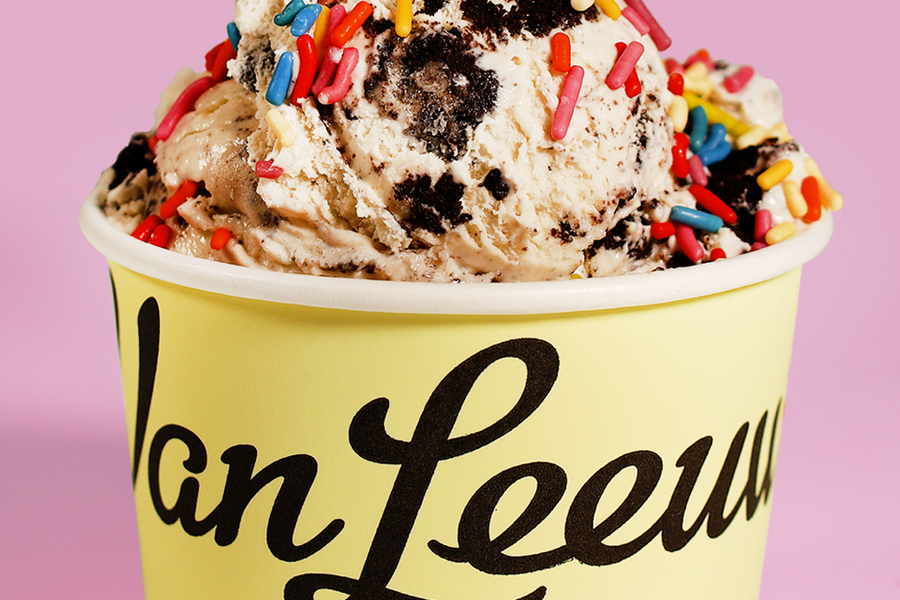 Van Leeuwen Ice Cream 1