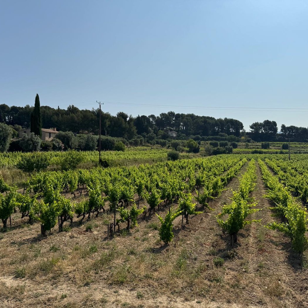 Planet Provence - Wine, Food & Discovery Tours in Provence 2