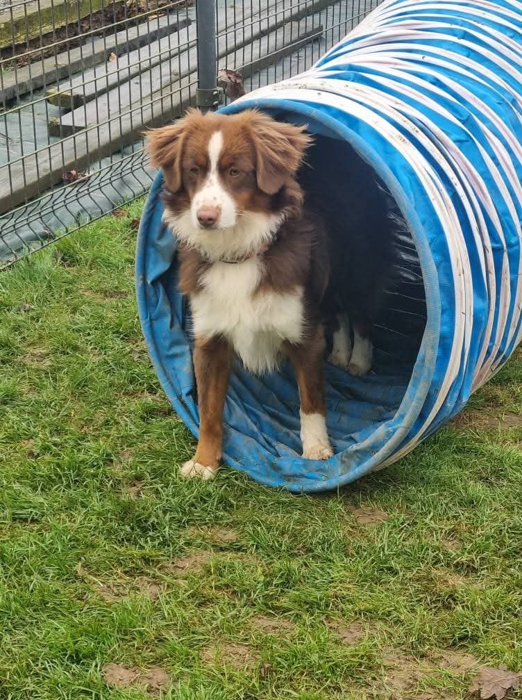 Garde O'Poil 1