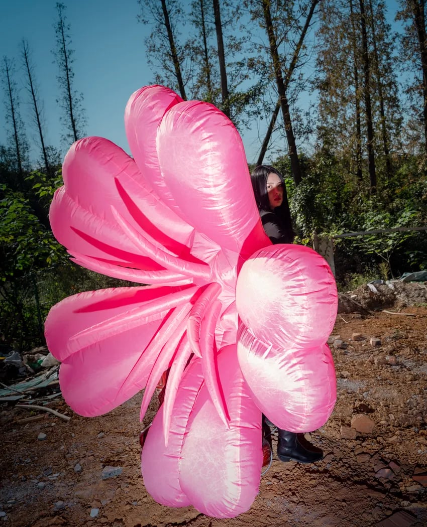 Feng Li: Garden 1