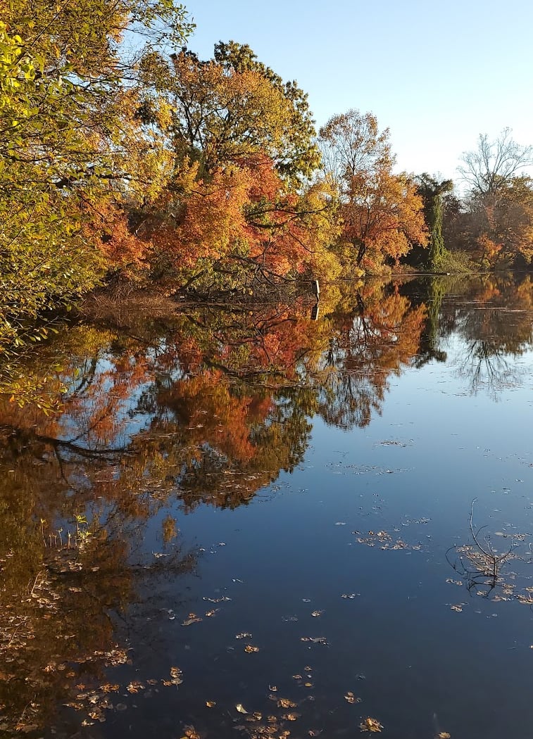 Caleb Smith State Park Preserve 4