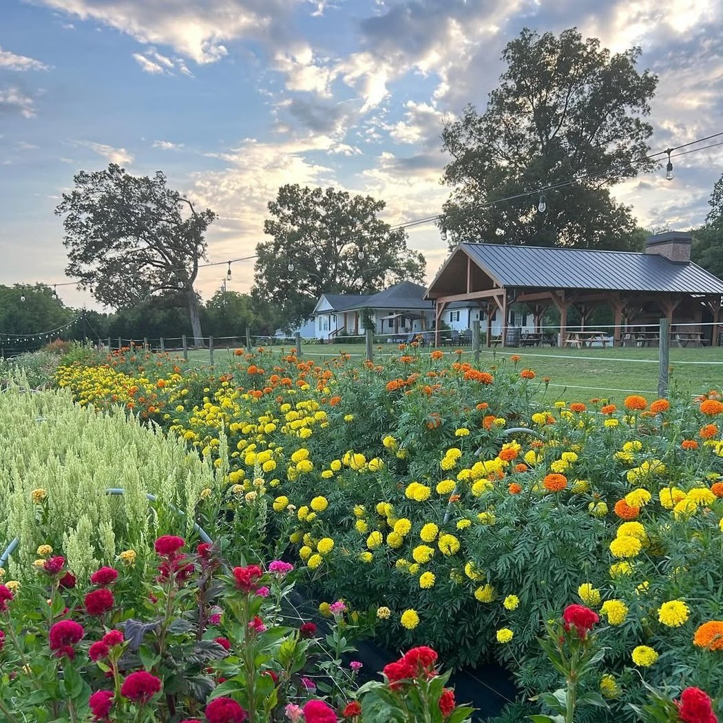 Flower Fest 1