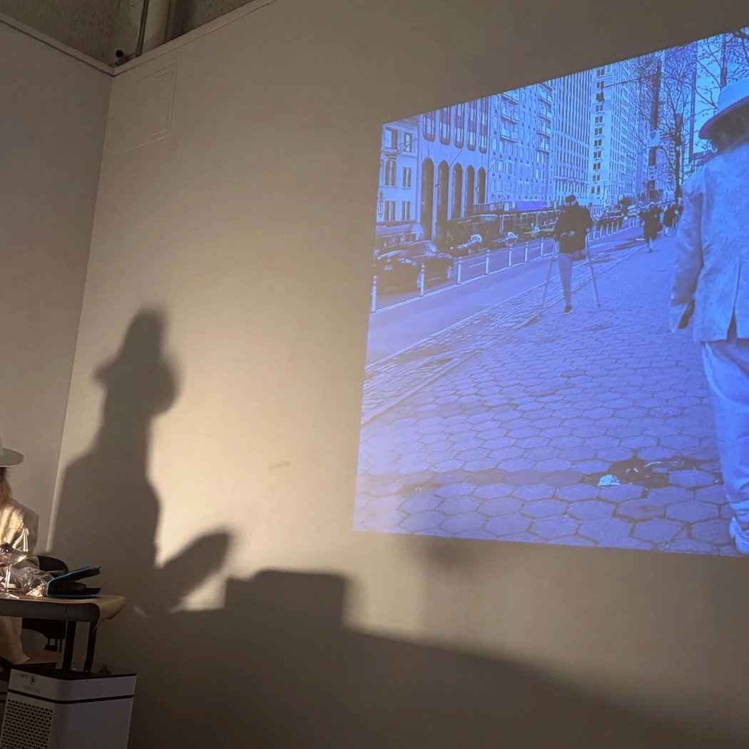 BFA Visual and Critical Studies Performance Series 1