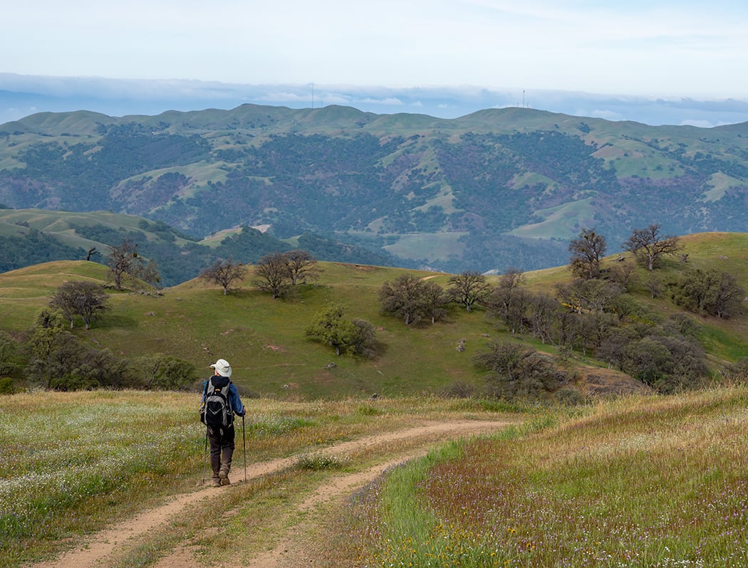 Ohlone Regional Wilderness 1