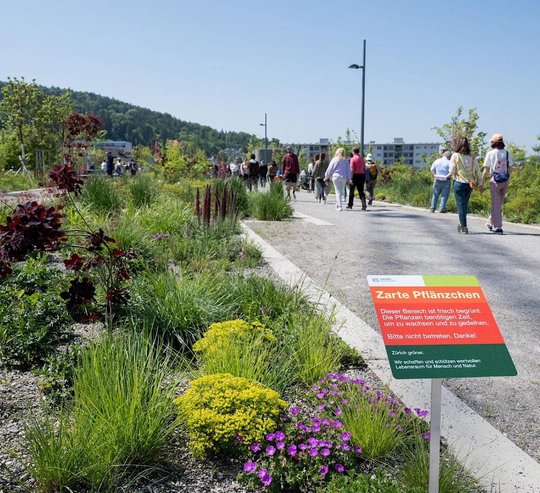 Guided tour of the Ueberlandpark: A green oasis on the motorway 1