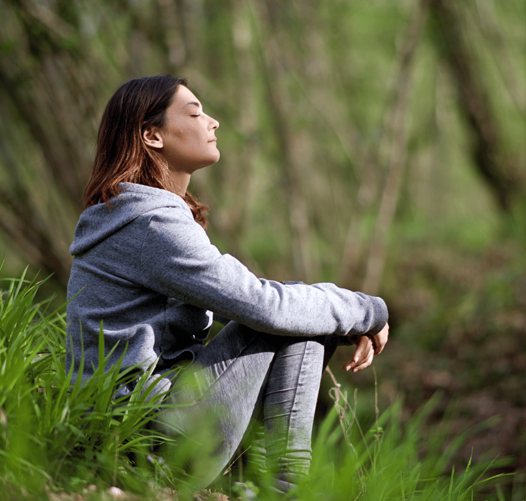 Wonder Walk: Glimmers of Spring - Nature and Mindful Meditations 1