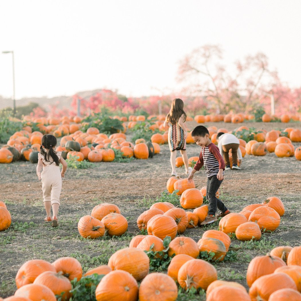 Fall Festival Weekends 2