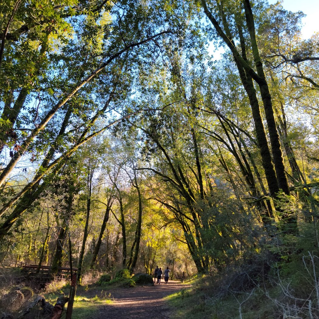 Cascade Canyon Preserve 1