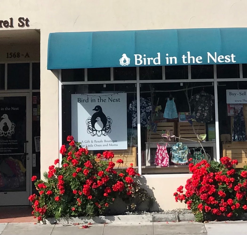 Bird in the Nest 2