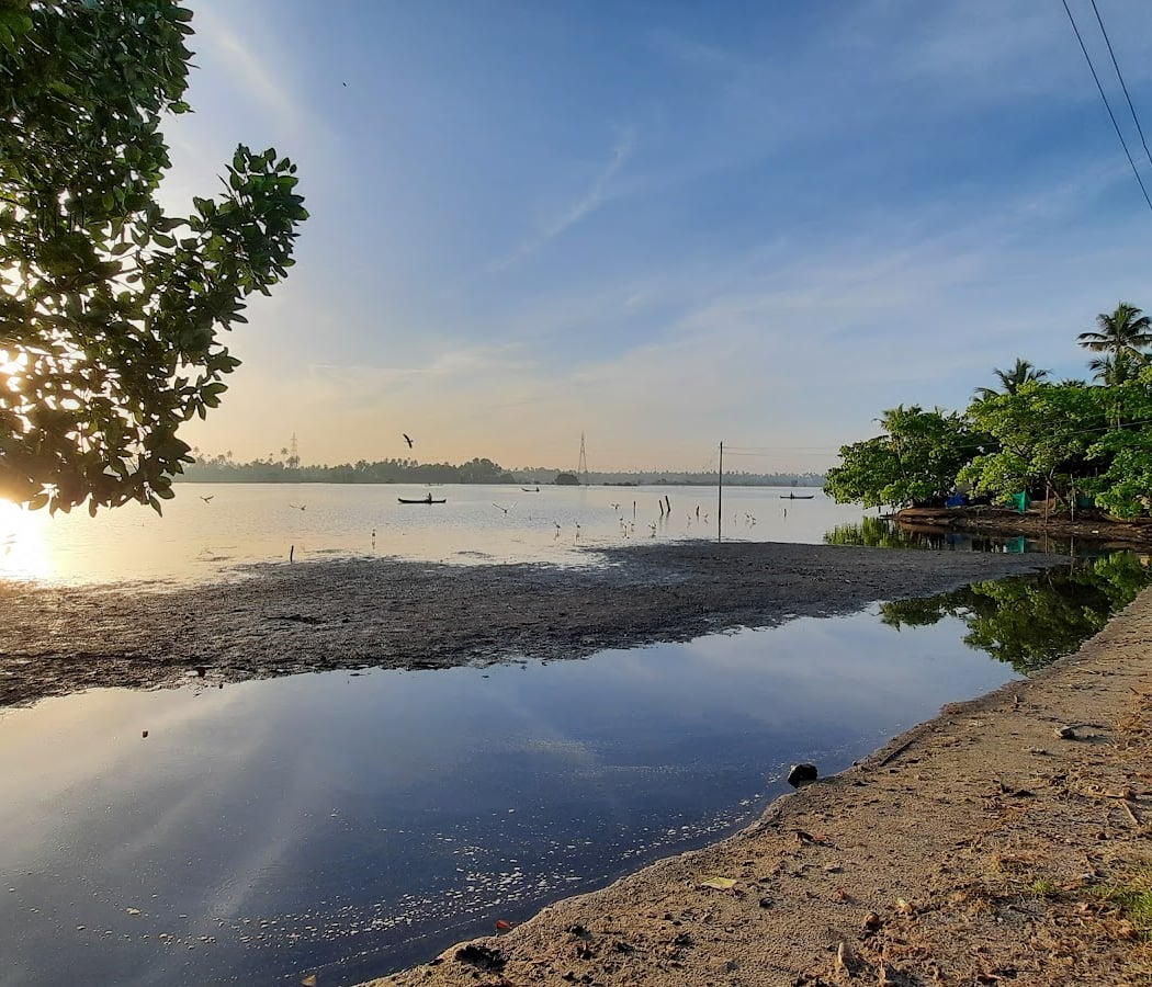 Kumbalangi 2