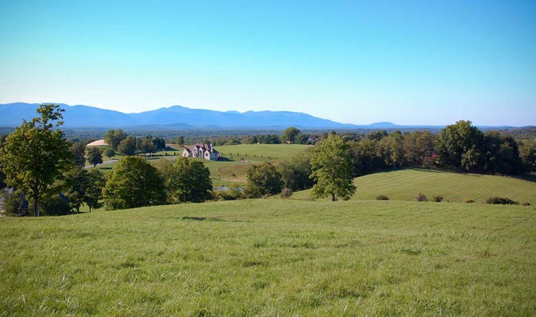 Drayton Grant Park at Burger Hill 2
