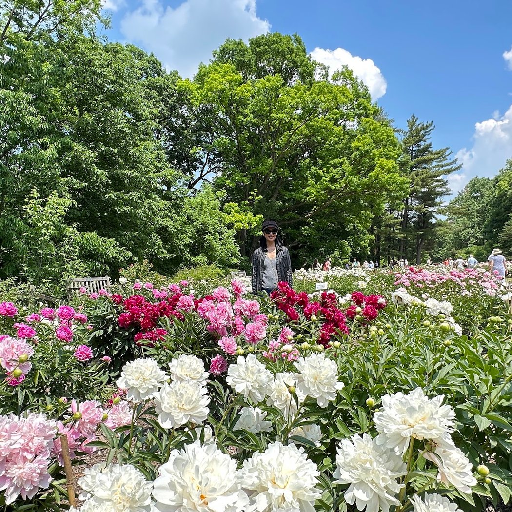 Peony Season 3