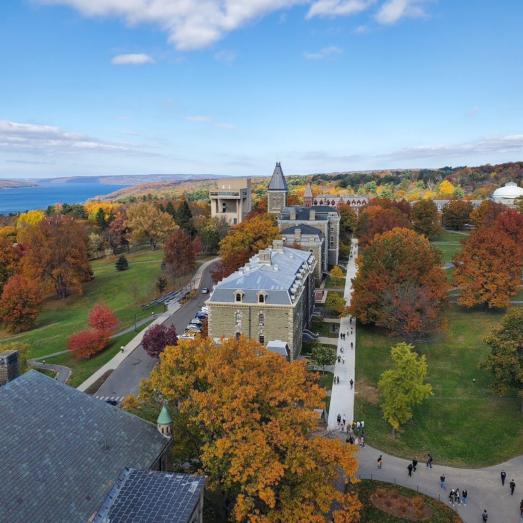 Cornell University 1