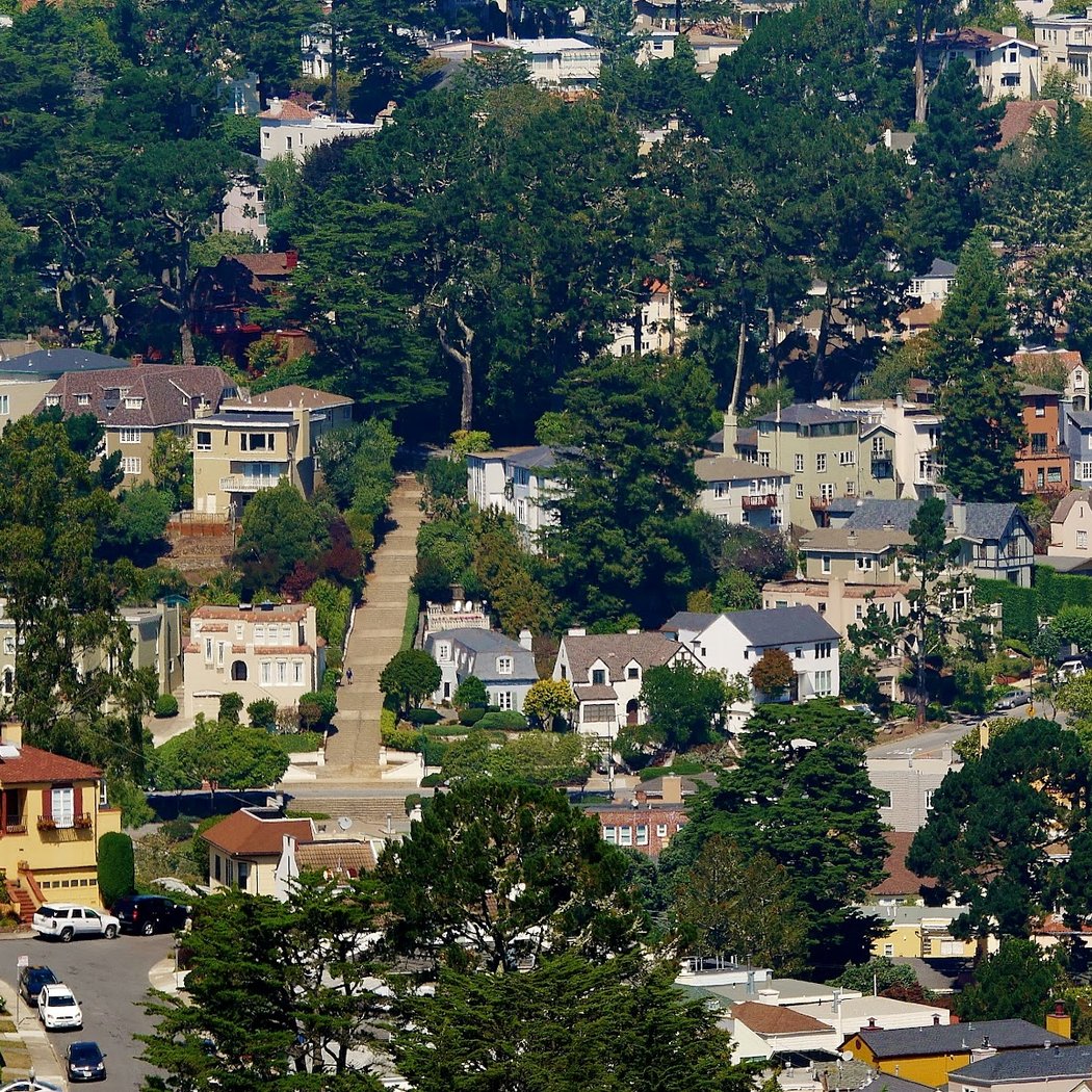 Forest Hill 3