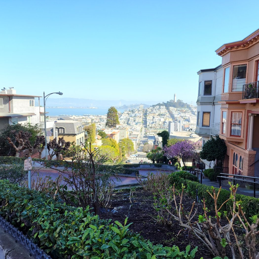 Lombard Street 3