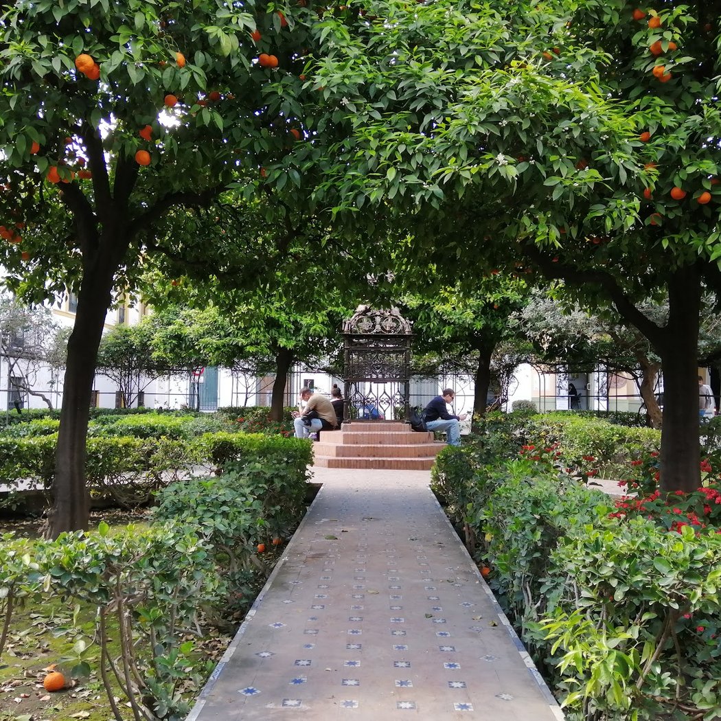 La Plazuela de Santa Cruz 1