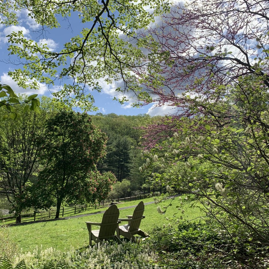Jenkins Arboretum & Gardens 3