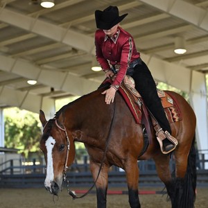 KB Performance Horses 1
