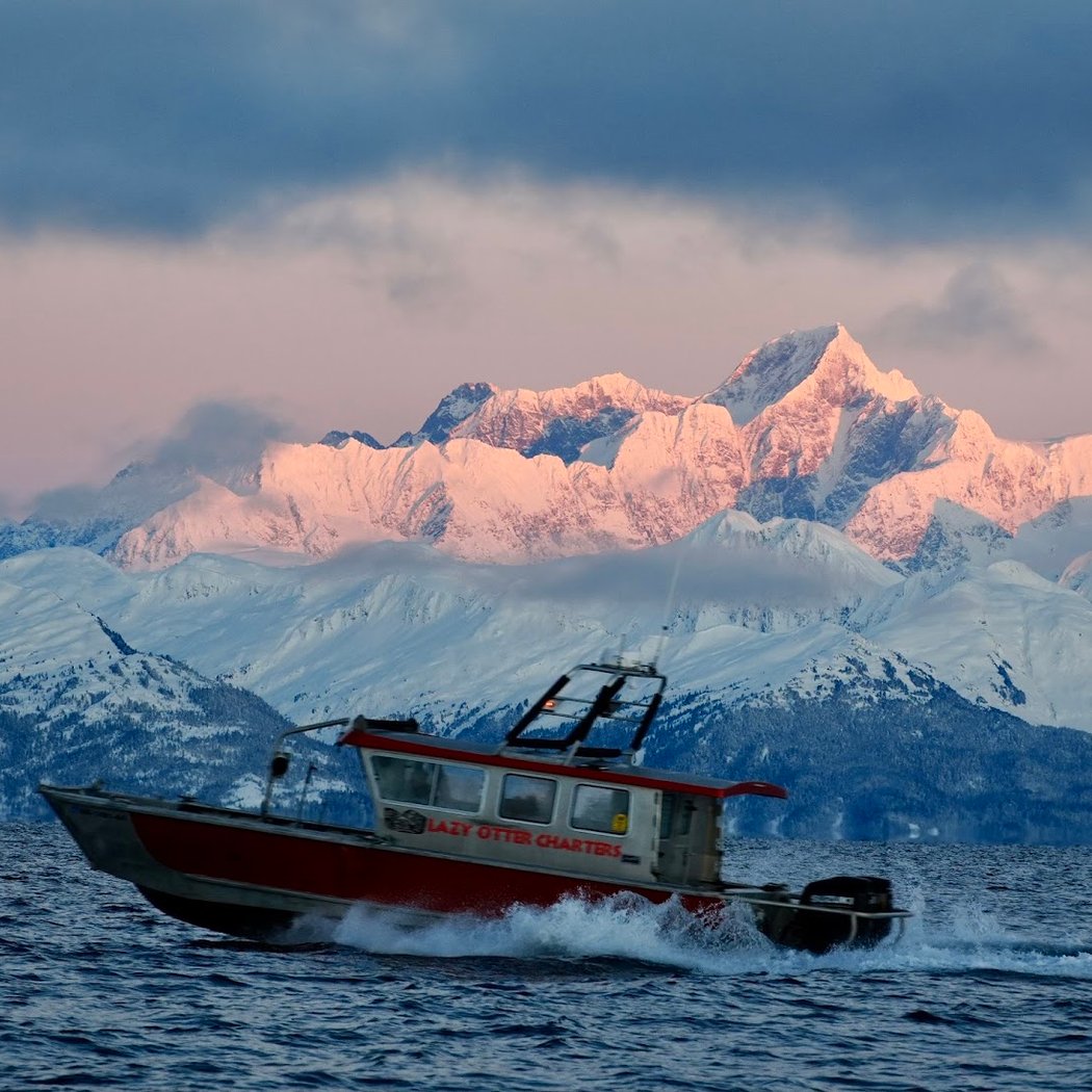 Custom Glacier and Wildlife Tours 1