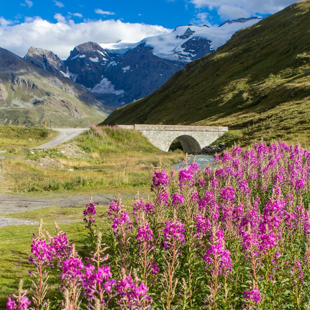Glacier des Evettes 3