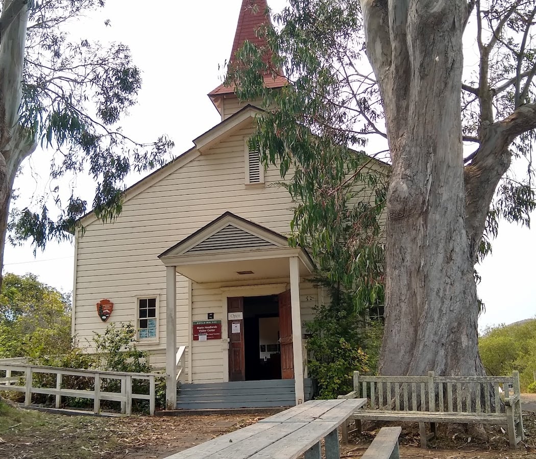 Spring RoundUp: Family Day with Horses 3