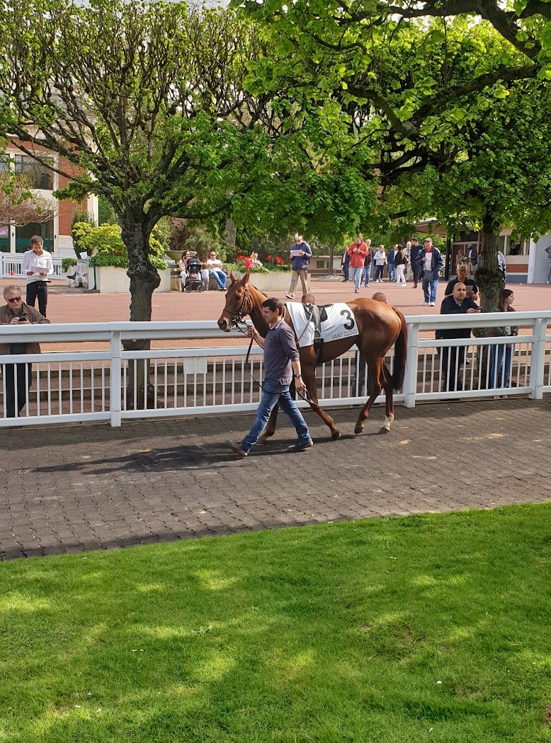 Saint-Cloud Racecourse 3