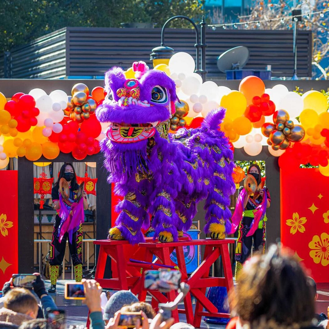 Celebrate Lunar New Year 1